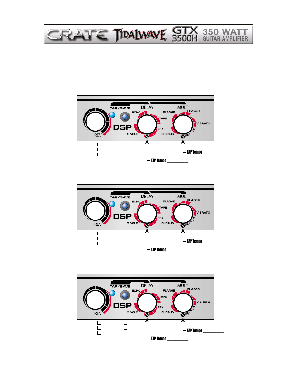 14 dsp “fill in the blanks” (user settings) | Crate Amplifiers GTX3500H User Manual | Page 14 / 16
