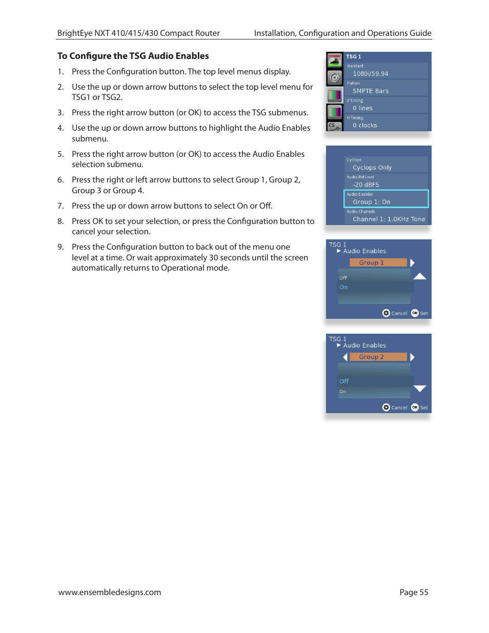 To configure the tsg audio enables | Ensemble Designs BrightEye NXT 410 Clean HDMI Router User Manual | Page 55 / 132