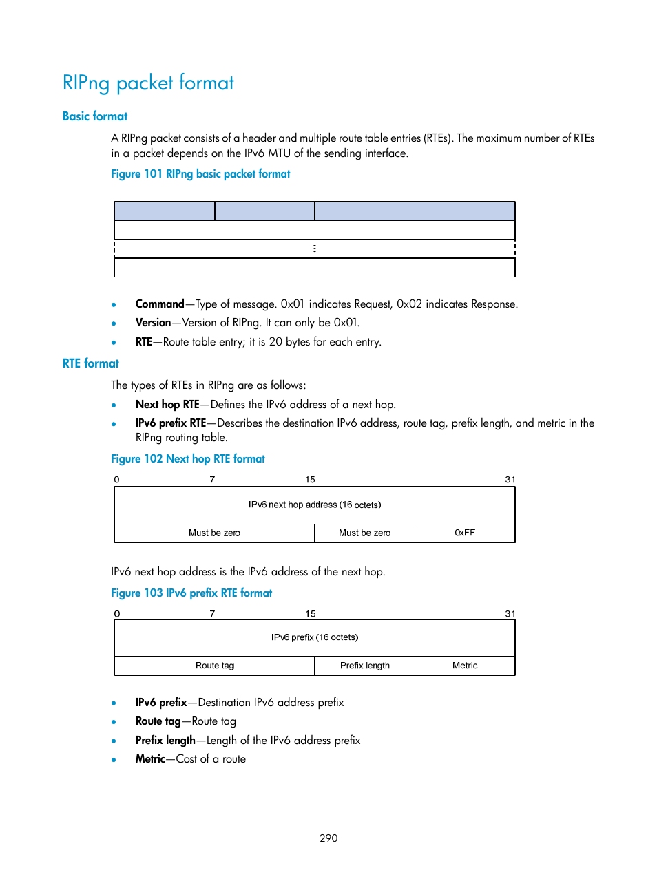 Ripng packet format, Basic format, Rte format | H3C Technologies H3C S12500 Series Switches User Manual | Page 306 / 443