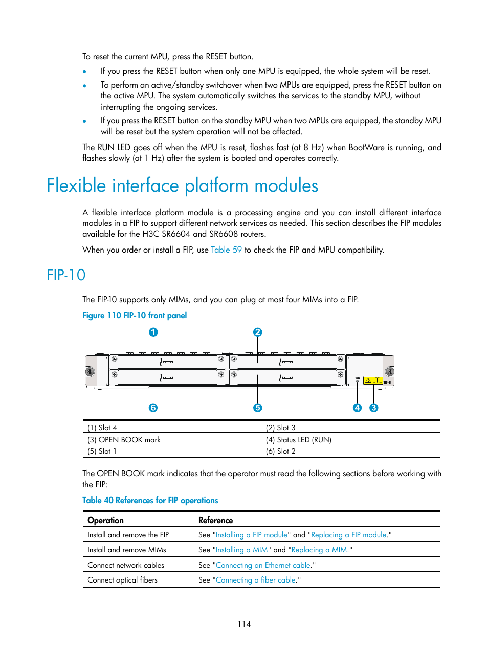 Flexible interface platform modules, Fip-10 | H3C Technologies H3C SR6600 User Manual | Page 124 / 161