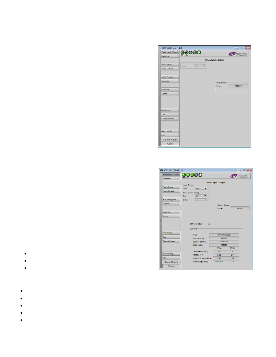 1 video input/output panel (no fiber support), 2 video input/output panel with fiber support | Grass Valley ADX-1901 User Manual | Page 18 / 49