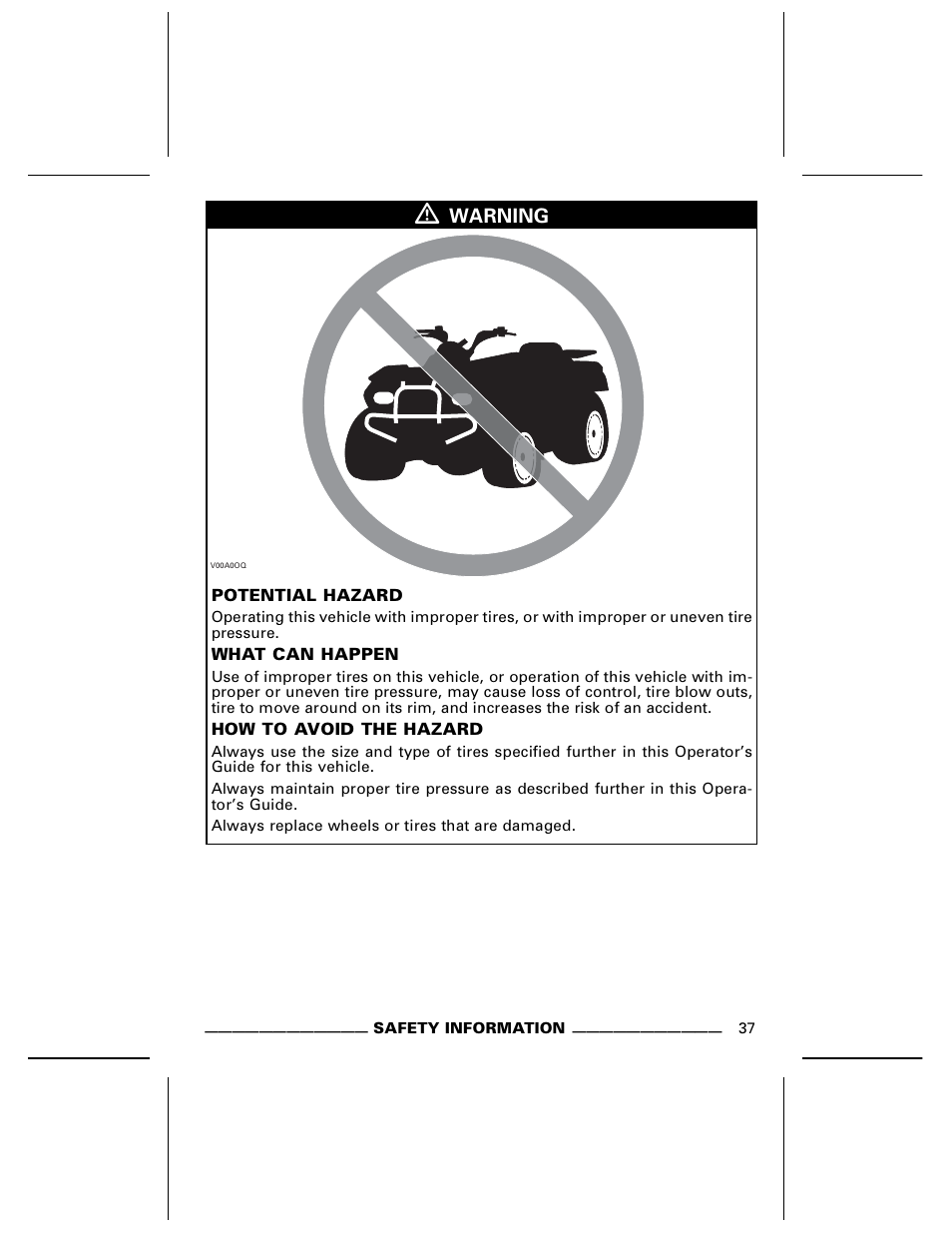 BRP DS70 User Manual | Page 39 / 140