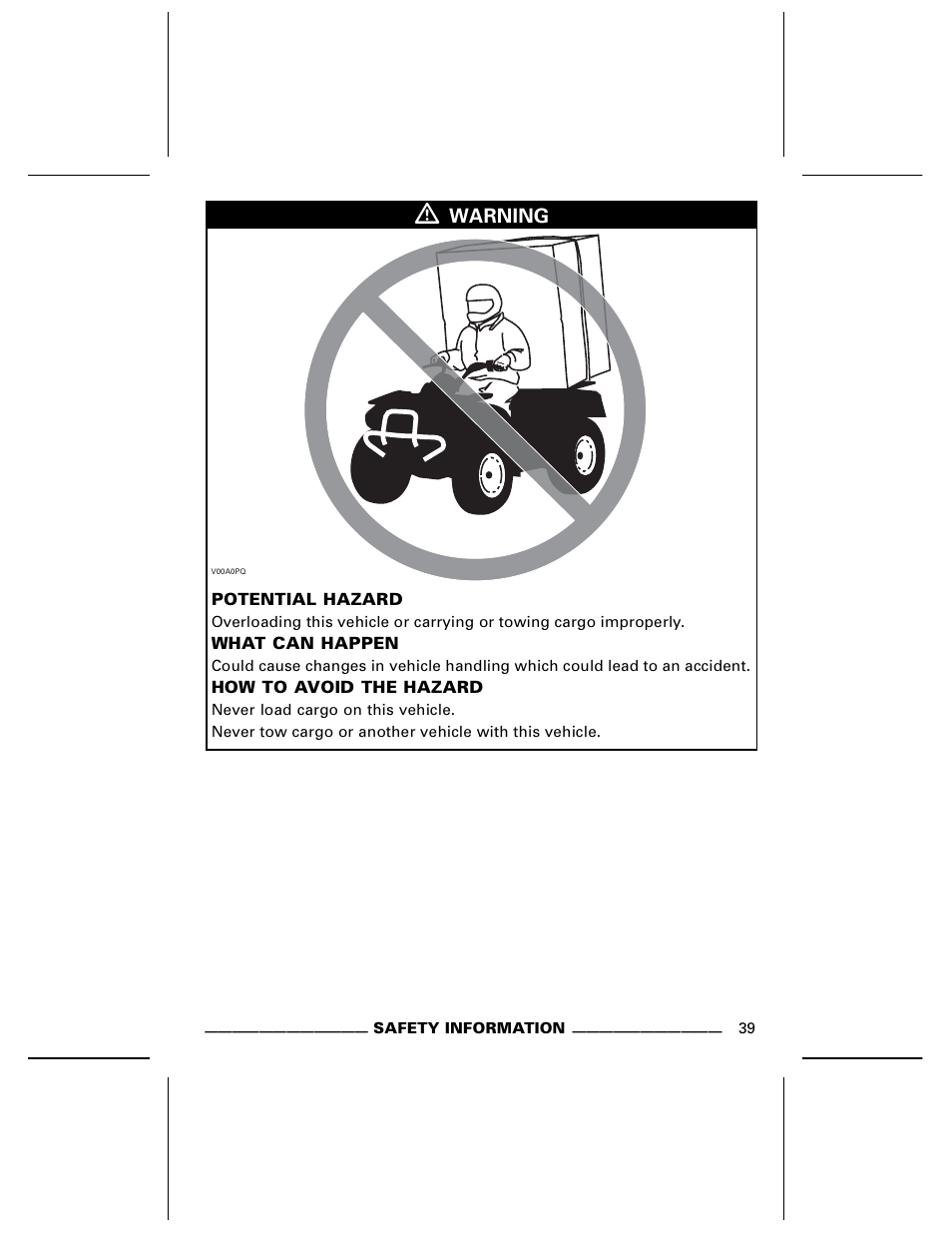 BRP DS70 User Manual | Page 41 / 140