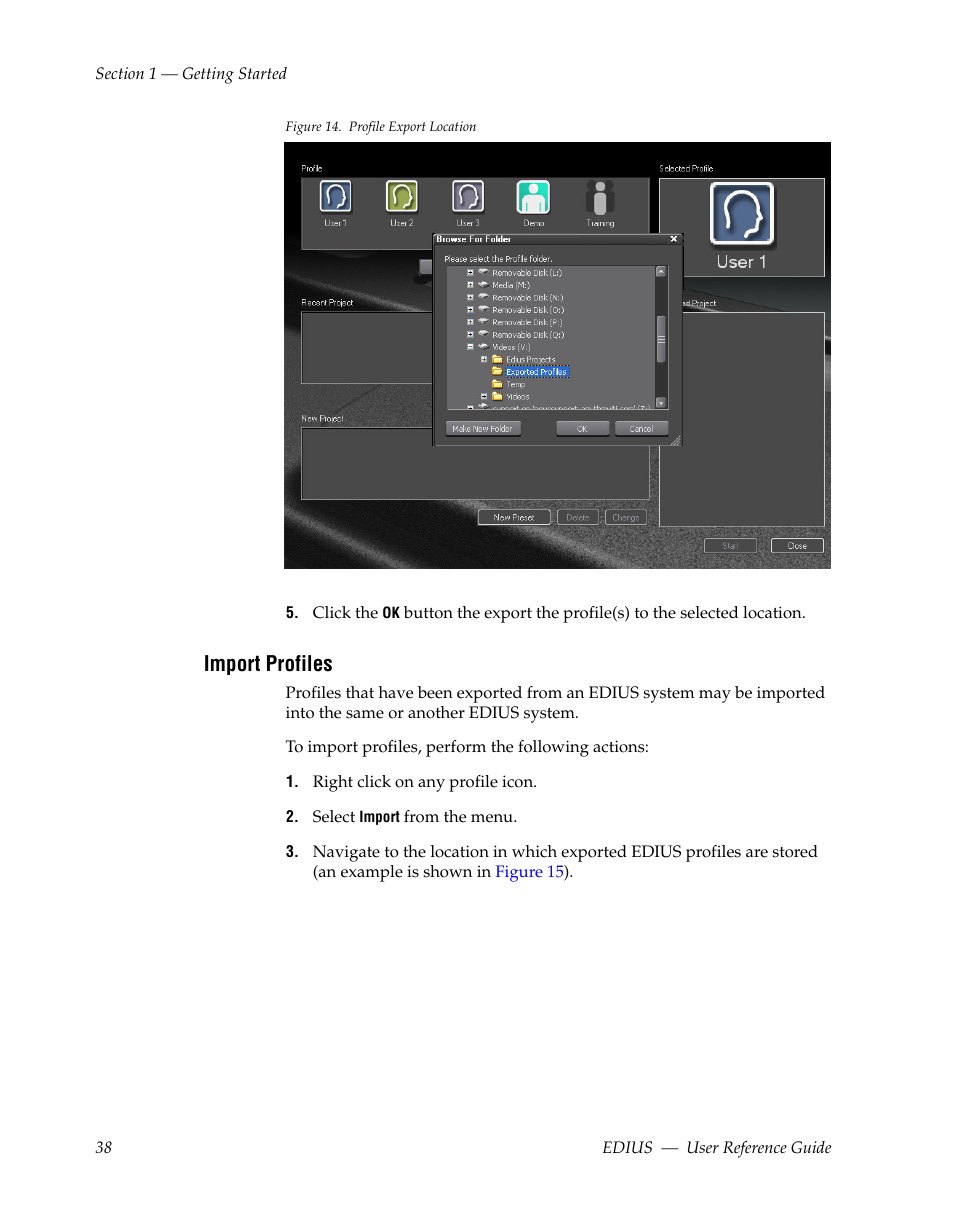 Import profiles, Figure 14 | Grass Valley EDIUS v.5.1 User Manual | Page 38 / 790