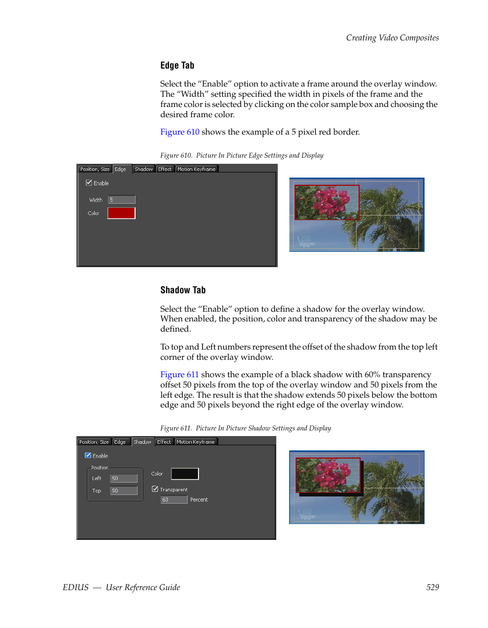 Grass Valley EDIUS v.5.1 User Manual | Page 529 / 790