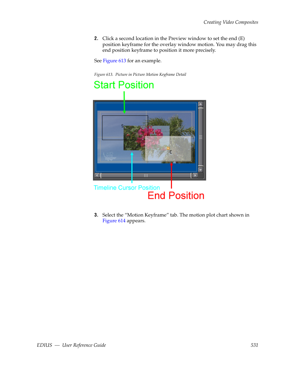 Grass Valley EDIUS v.5.1 User Manual | Page 531 / 790