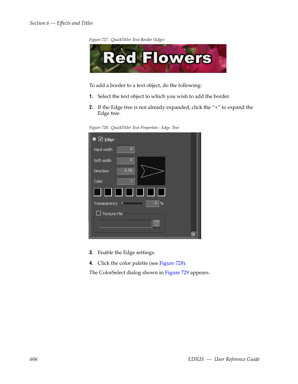 Grass Valley EDIUS v.5.1 User Manual | Page 606 / 790