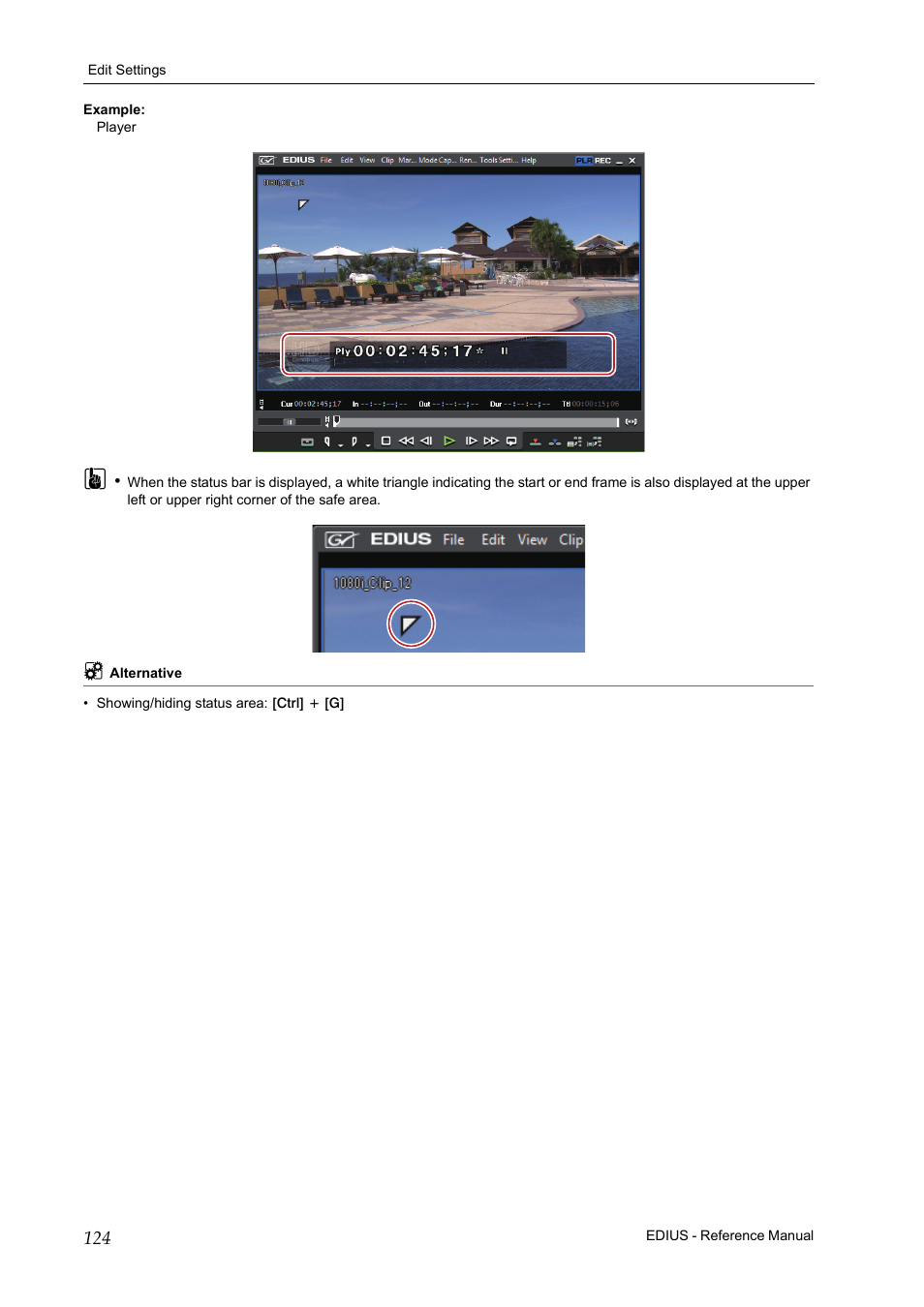 Grass Valley EDIUS Pro v.7.20 User Manual | Page 146 / 520