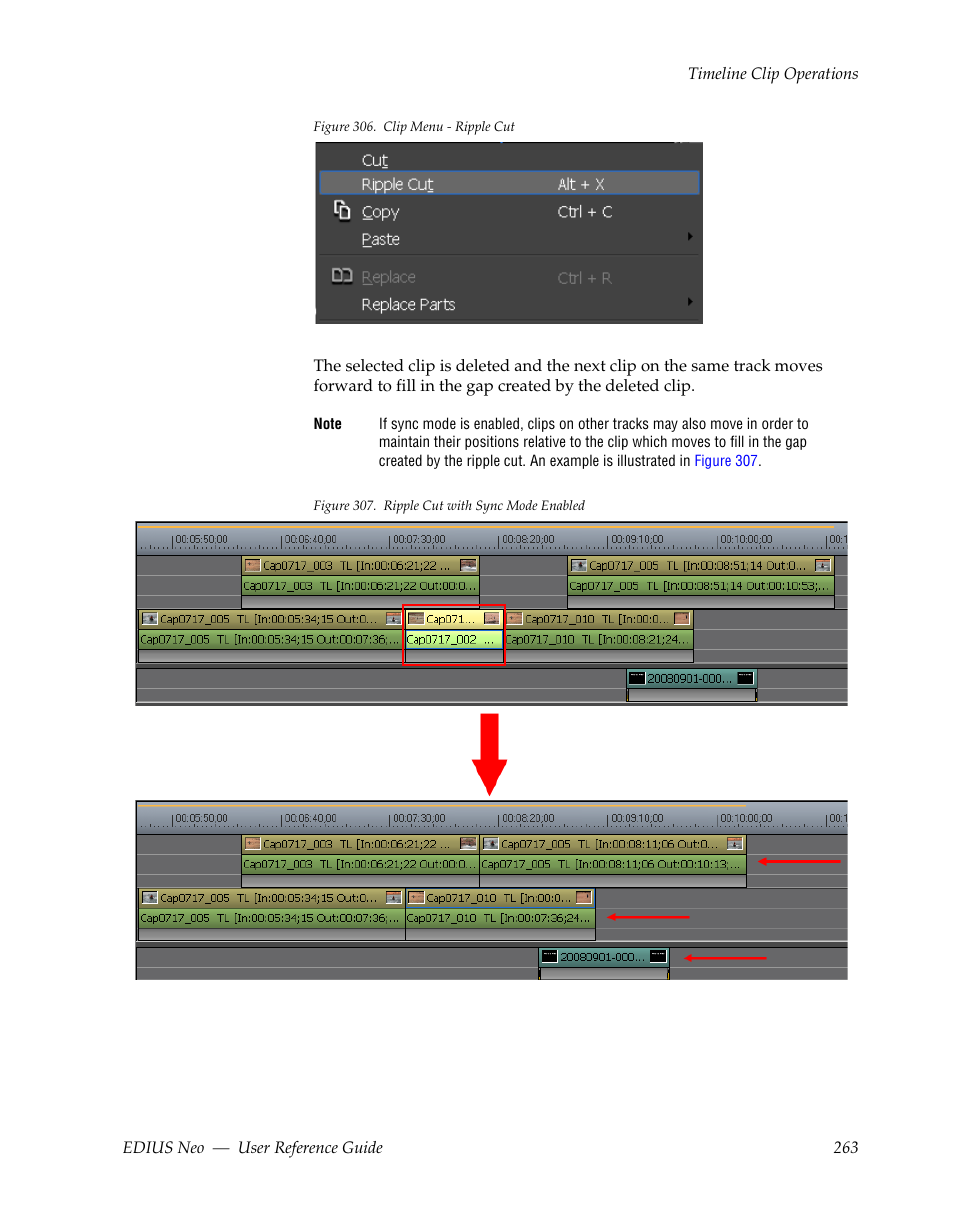 Grass Valley EDIUS Neo 2 User Manual | Page 263 / 608