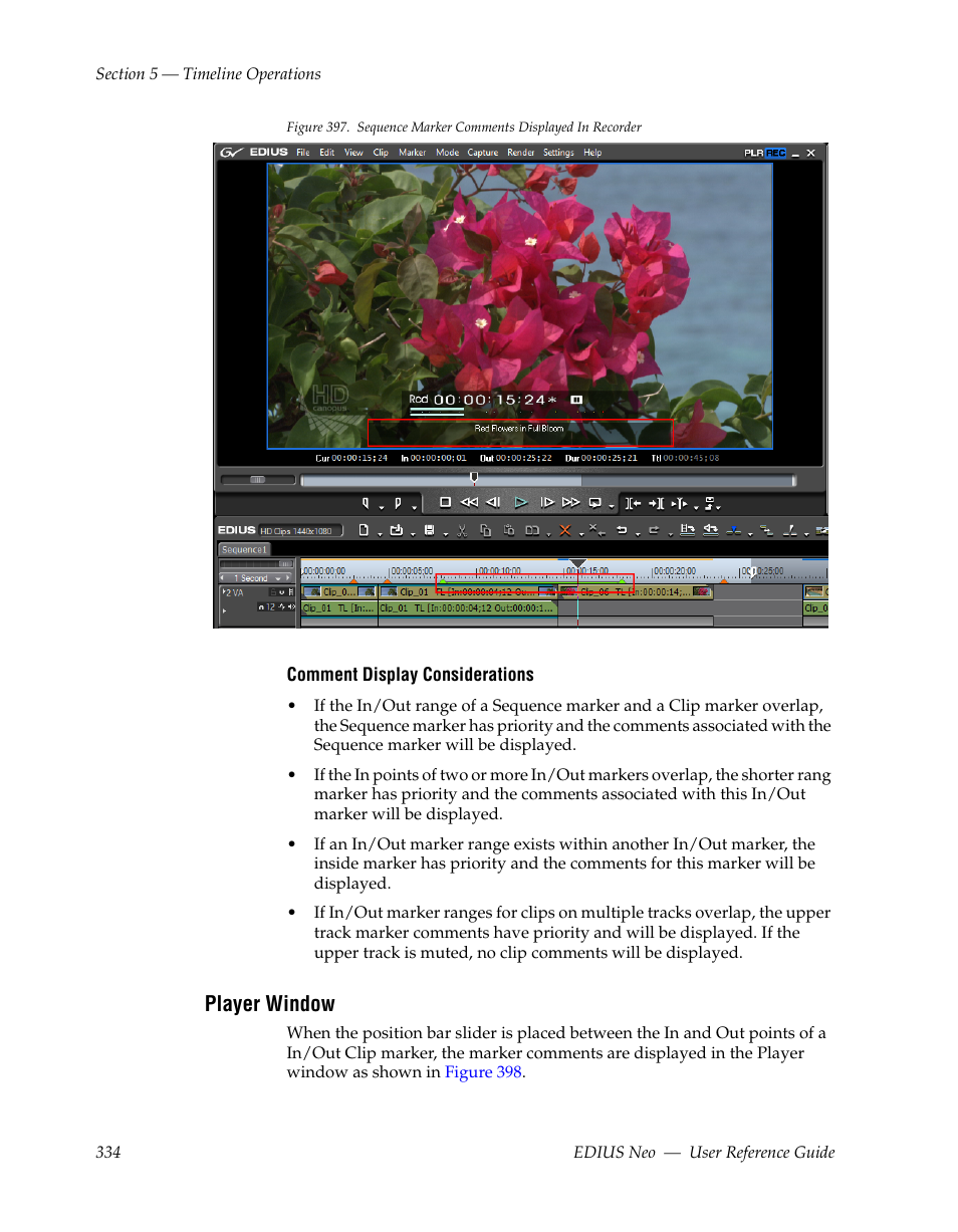 Player window | Grass Valley EDIUS Neo 2 User Manual | Page 334 / 608