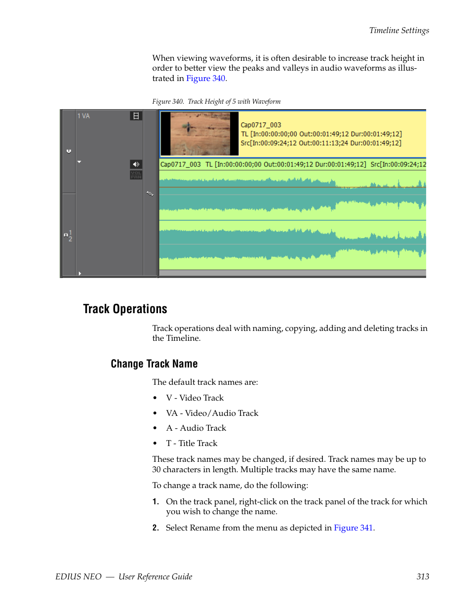 Track operations, Change track name | Grass Valley EDIUS Neo 3 User Manual | Page 315 / 802