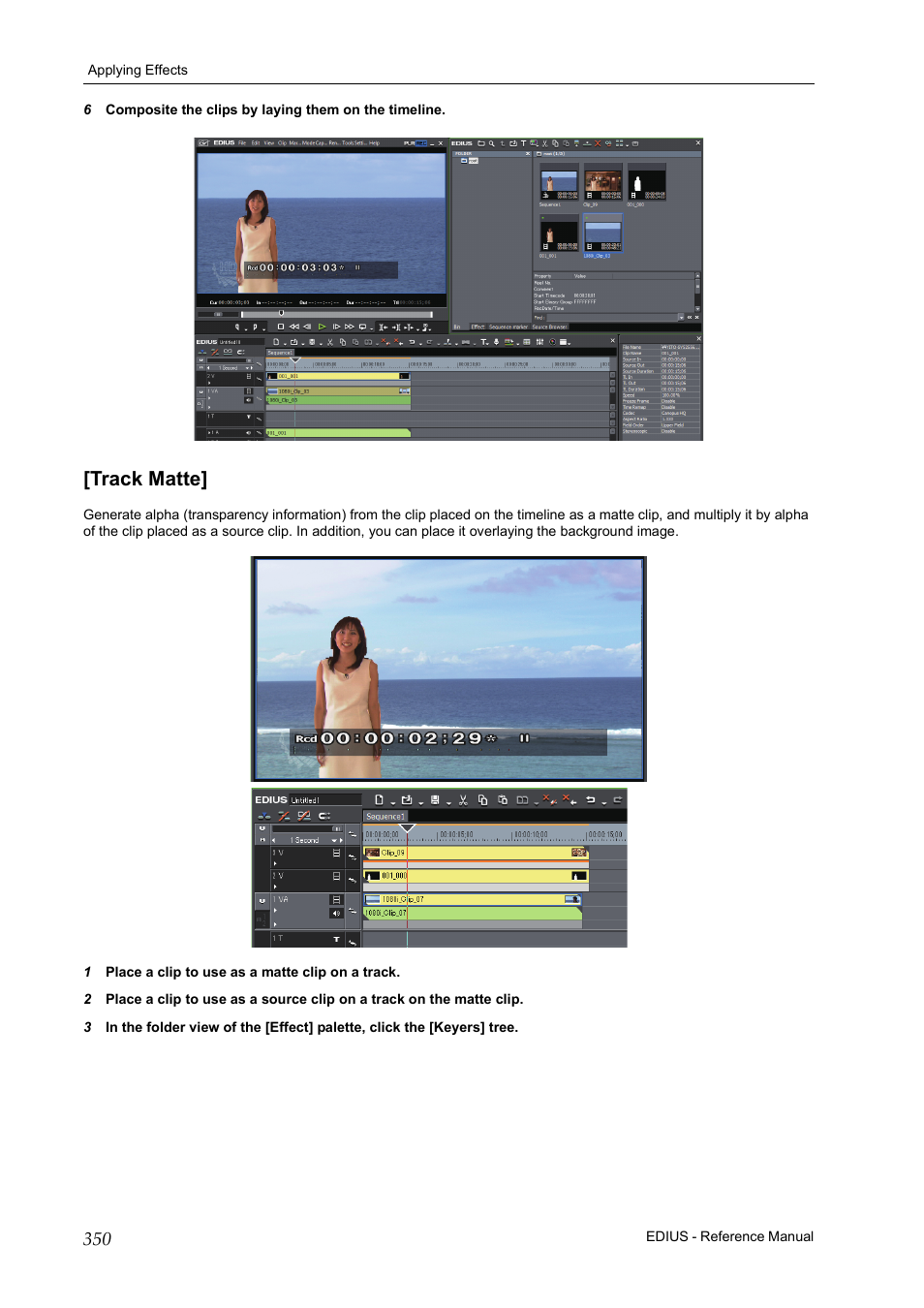 Track matte | Grass Valley EDIUS Pro v.6.5 User Manual | Page 372 / 530