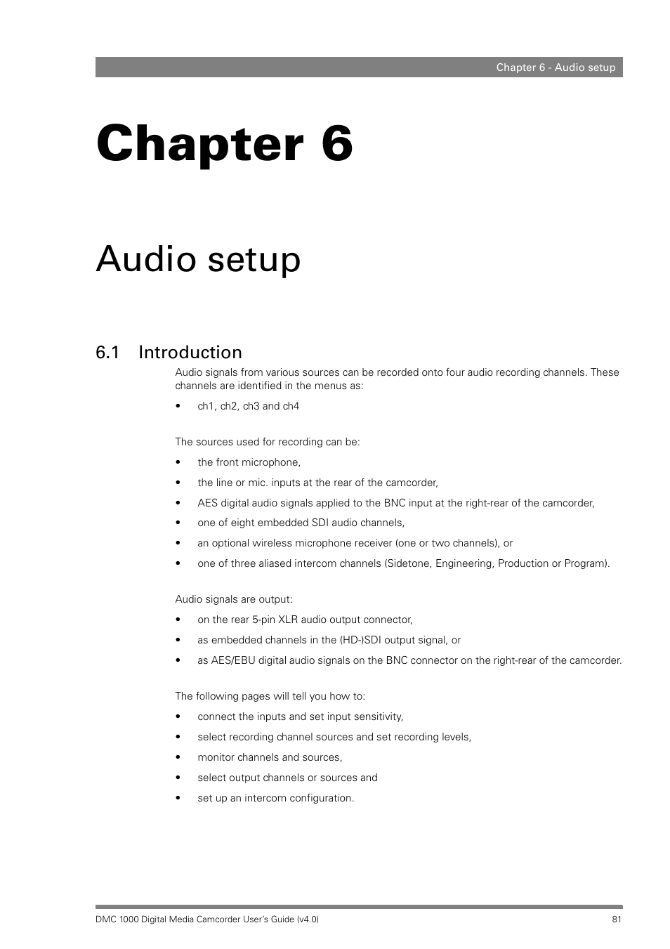 Audio setup, 1 introduction, Chapter 6 – audio setup | Introduction, Chapter 6 | Grass Valley DMC 1000 v.12.4 User Manual | Page 81 / 176