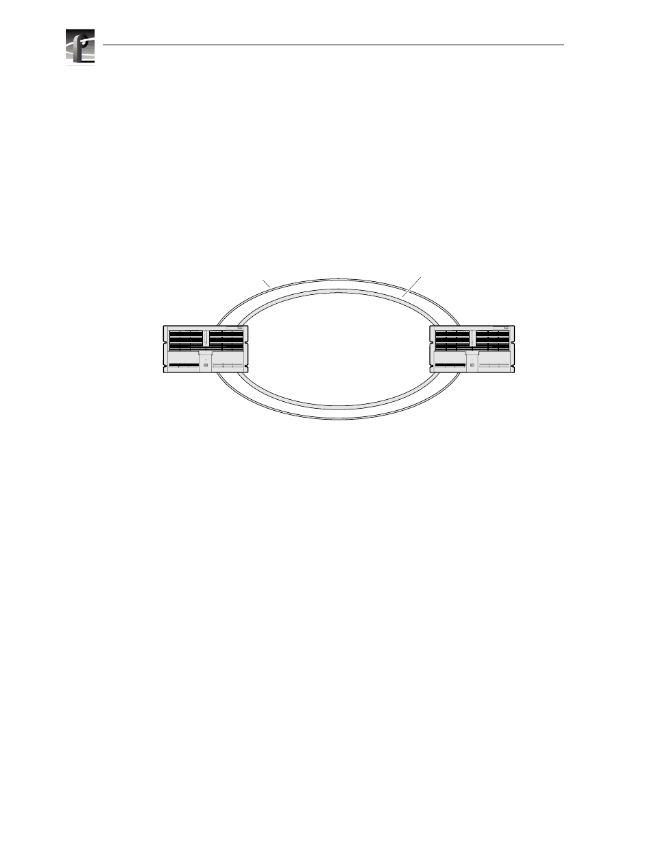 About the fibre channel video network option | Grass Valley PVS Series System Guide v.4.0 Dec 10 200 User Manual | Page 198 / 288