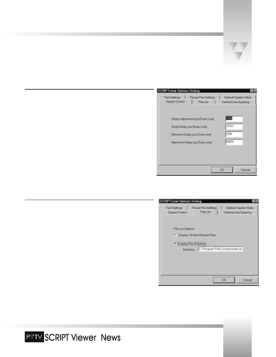 Setting scriptview options | Grass Valley SCRIPT Viewer News Rev.A User Manual | Page 45 / 60