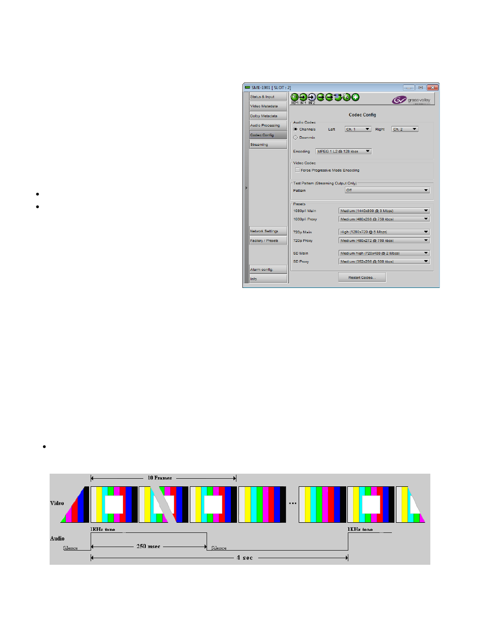 6 codec config panel, Codec config panel | Grass Valley SME-1901 v.1.20 User Manual | Page 20 / 37