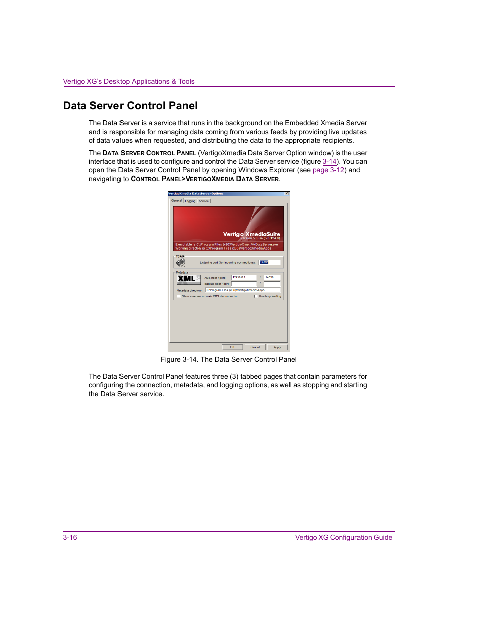 Data server control panel, Data server control panel -16 | Grass Valley XG Vertigo Configuration Guide v.5.0 User Manual | Page 41 / 103