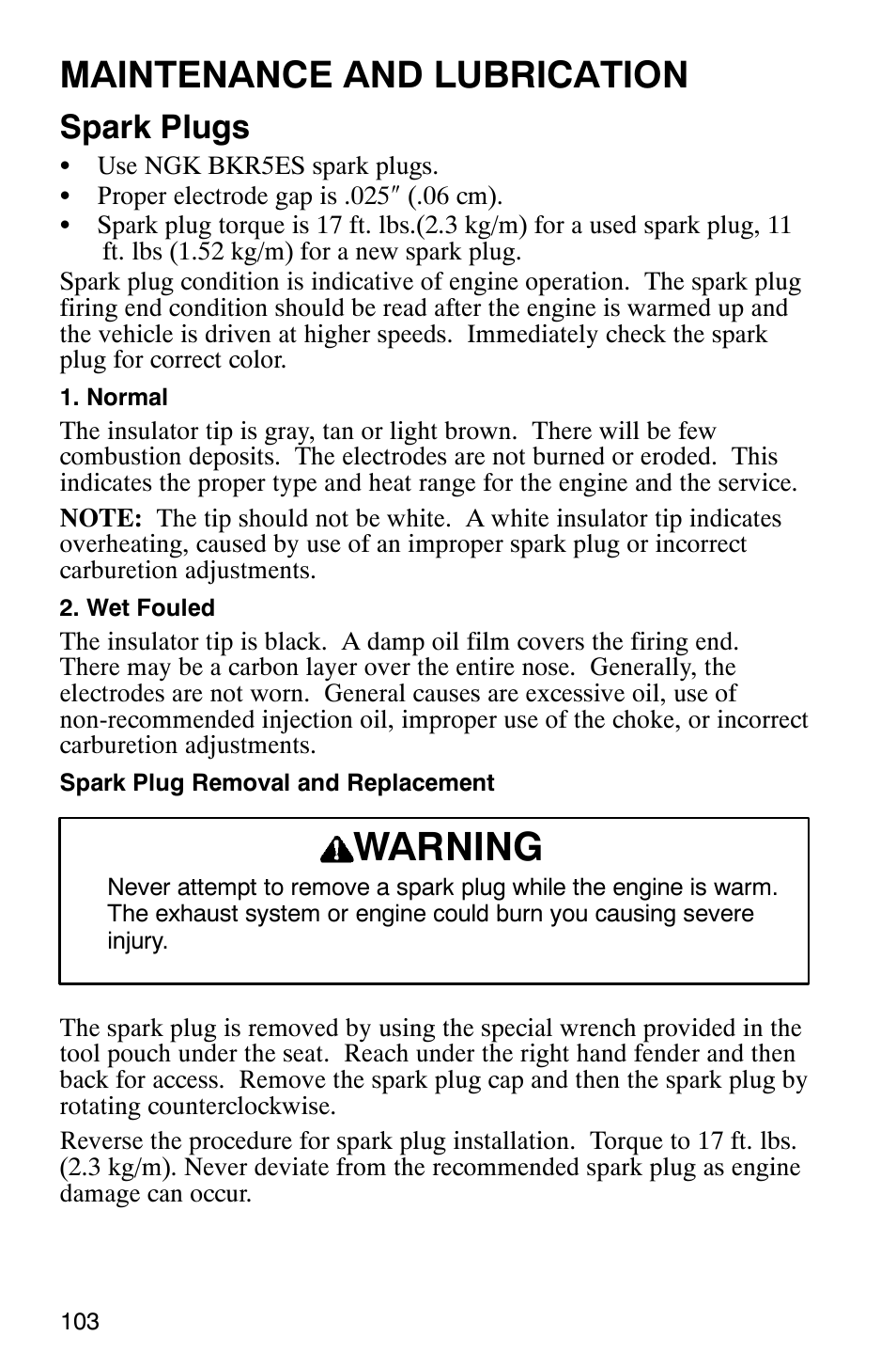 Warning, Maintenance and lubrication, Spark plugs | Polaris 2002 ATV Sportsman 6X6 User Manual | Page 106 / 131