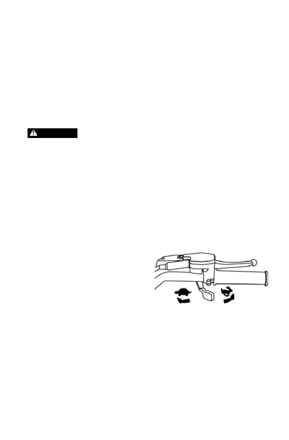 Throttle lever, Features and controls, Switches | Polaris 2011 ATV Phoenix 200 User Manual | Page 28 / 114