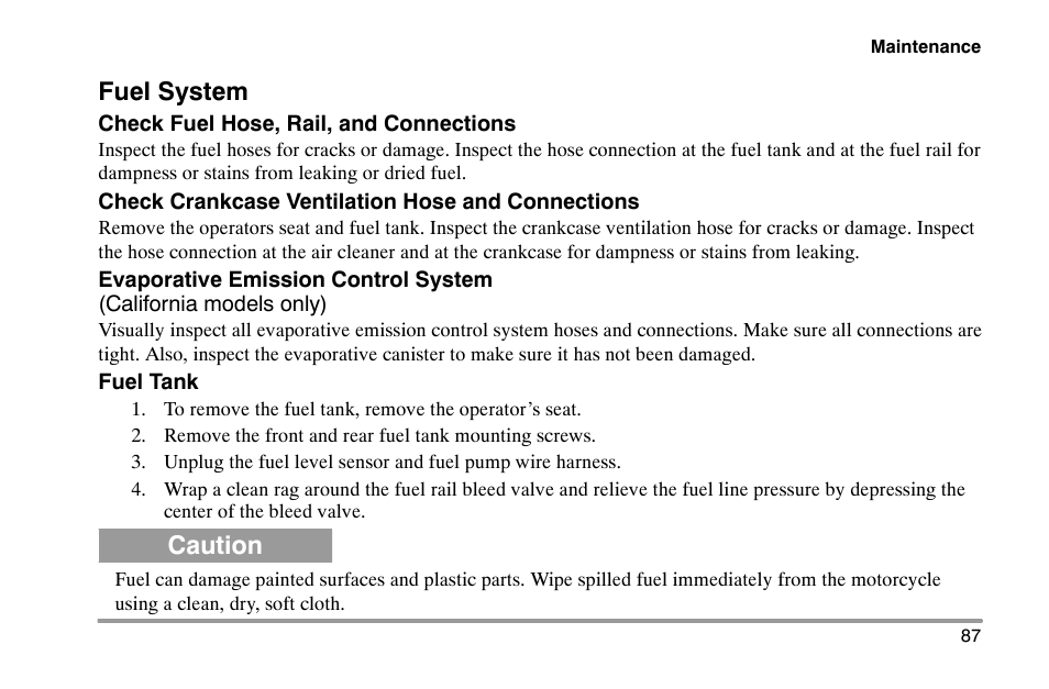 Fuel system, Caution | Polaris 2002 Victory Touring Cruiser User Manual | Page 101 / 166