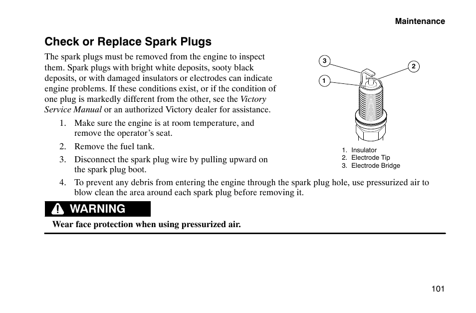 Check or replace spark plugs, Warning | Polaris 2002 Victory Touring Cruiser User Manual | Page 115 / 166