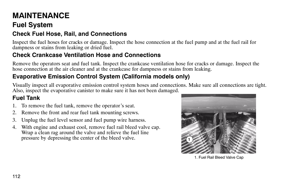 Maintenance, Fuel system | Polaris 2003 Victory Classic Cruiser User Manual | Page 114 / 180