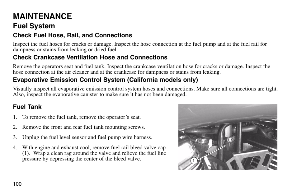 Maintenance, Fuel system | Polaris 2003 Victory Vegas User Manual | Page 102 / 164