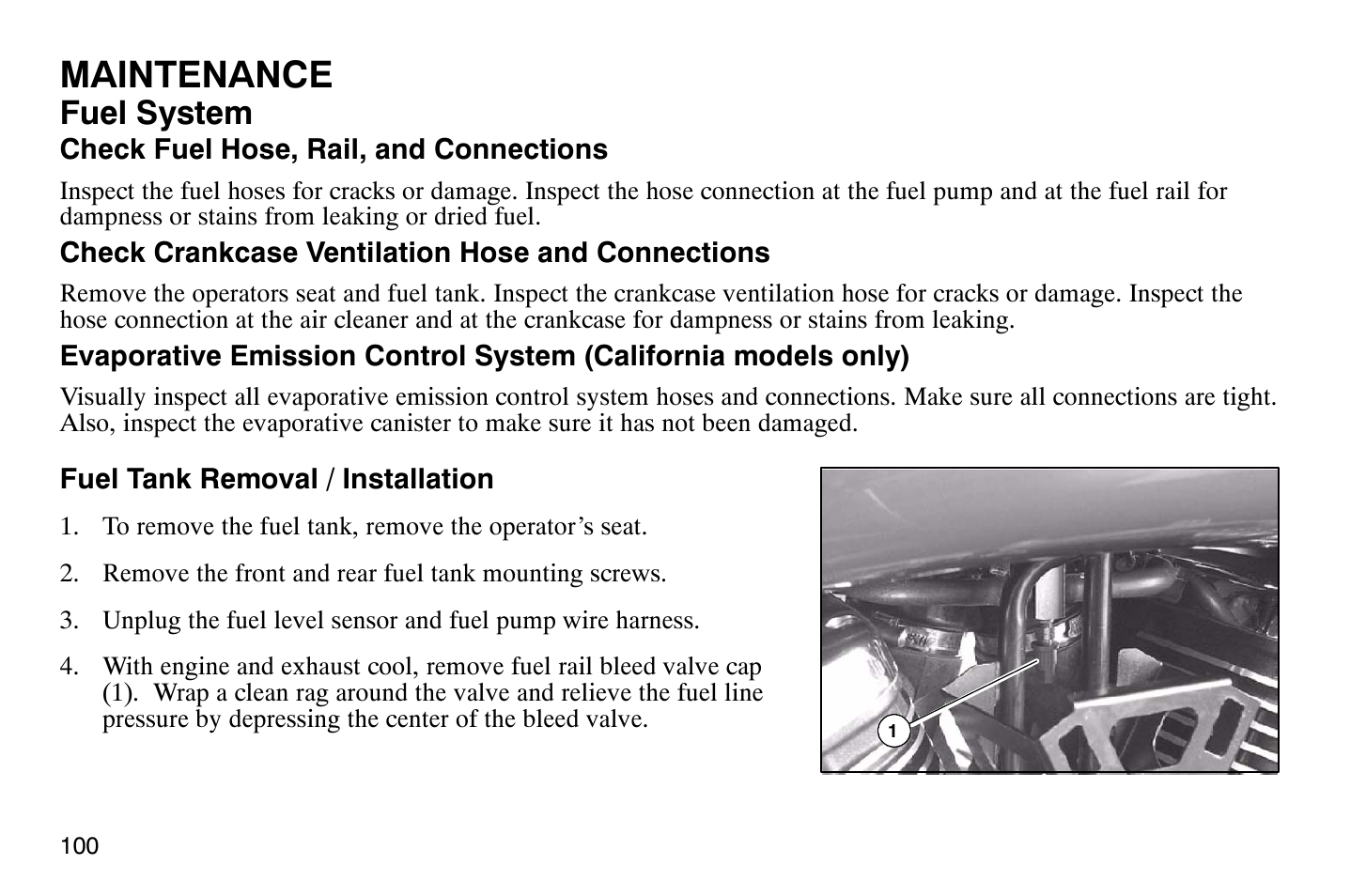 Maintenance, Fuel system | Polaris 2004 Victory Vegas User Manual | Page 102 / 165