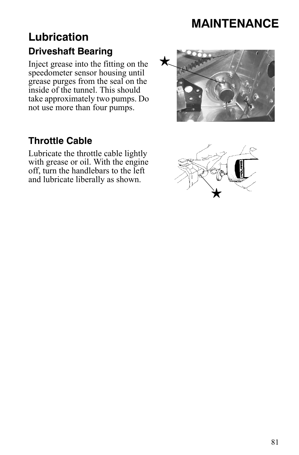 Maintenance, Lubrication | Polaris 2007 Dragon User Manual | Page 84 / 137