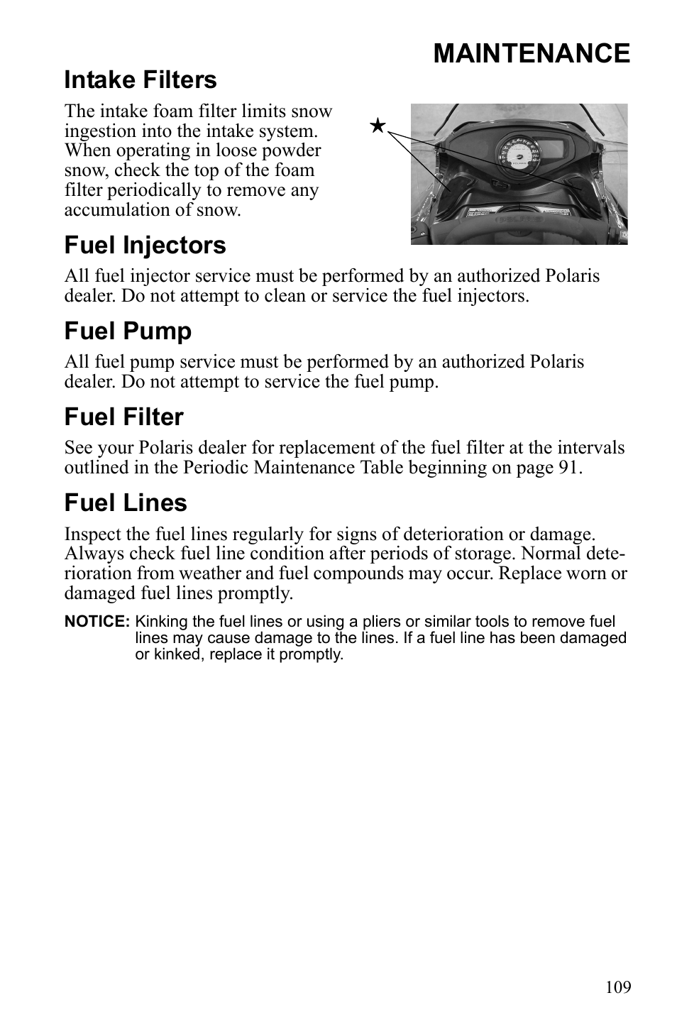 Maintenance, Intake filters, Fuel injectors | Fuel pump, Fuel filter, Fuel lines | Polaris 2010 FST IQ Touring User Manual | Page 112 / 165