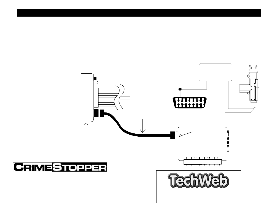 Data port diagram, Cs-2002dpii | Crimestopper Security Products CS-2002DPII User Manual | Page 20 / 20