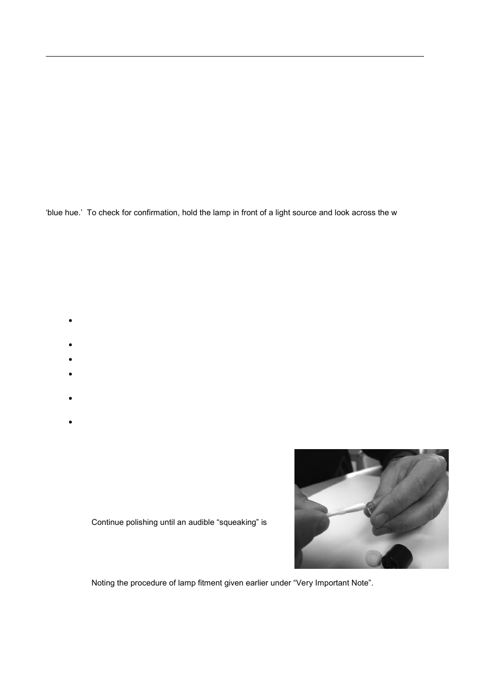 Lamp cleaning | Ion Science Cub User Manual | Page 37 / 42