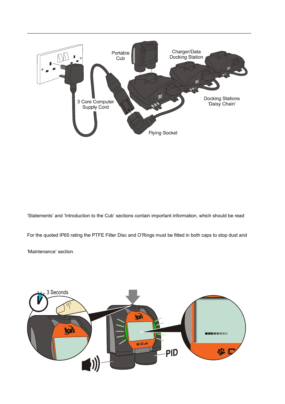 Getting started, The manual, Ptfe filter disc | Turning on | Ion Science Cub User Manual | Page 8 / 42