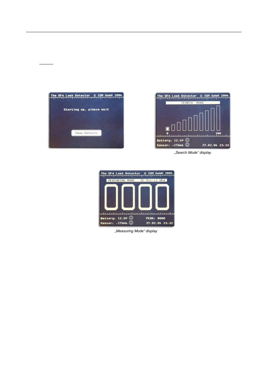 Putting into operation | Ion Science SF6 P1:p User Manual | Page 12 / 42