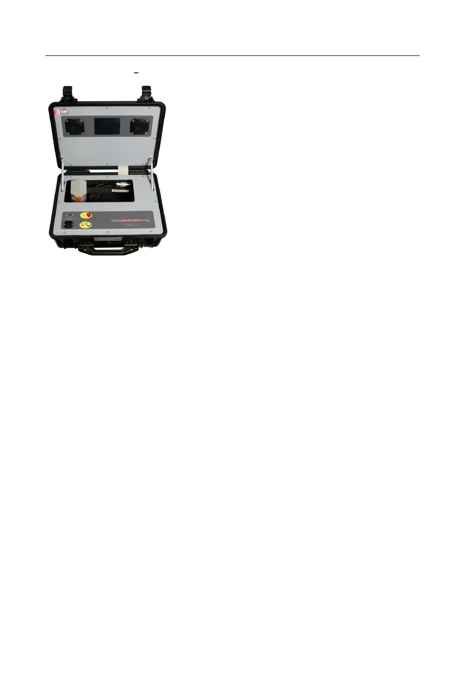 Versions, Sf6 leakcheck p1:p, Portable case instruments | Ion Science SF6 P1:p User Manual | Page 6 / 42