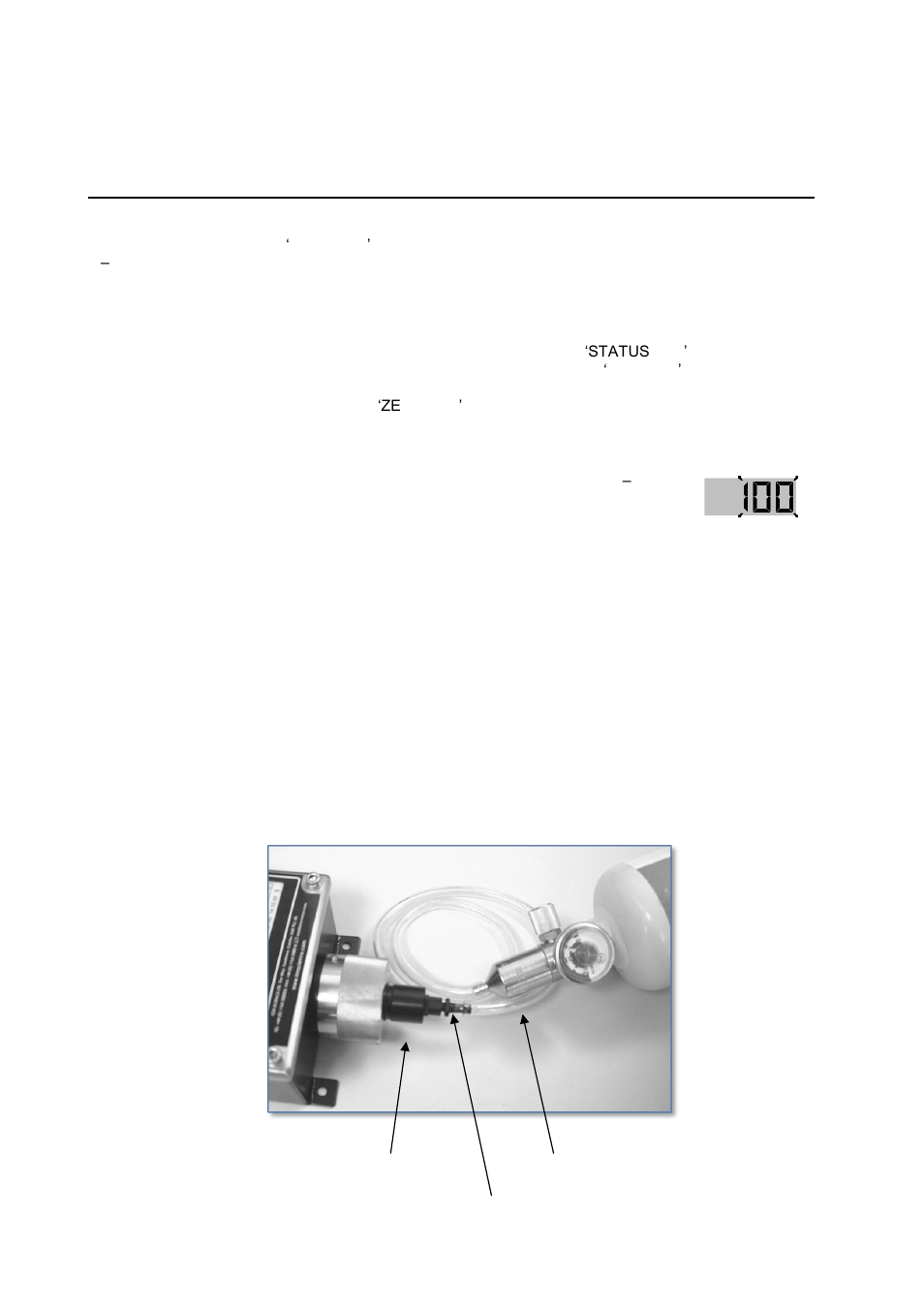 Setting the span | Ion Science TVOC User Manual | Page 19 / 32