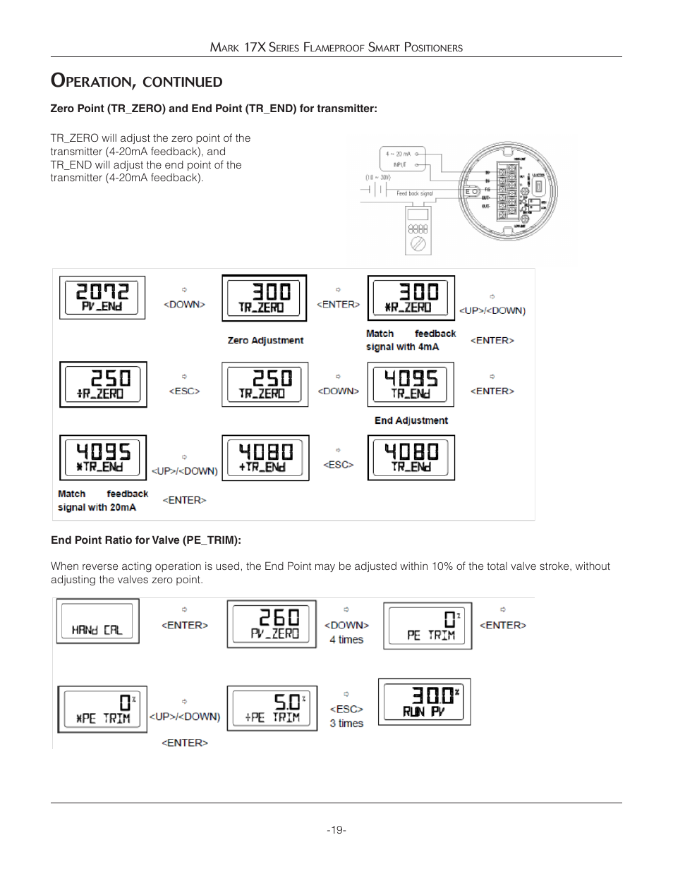 Jordan Valve Mark 17X Series Flameproof Smart Positioner User Manual | Page 19 / 27