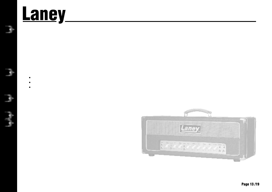 L50h, Operating instructions | Laney L50H User Manual | Page 13 / 20