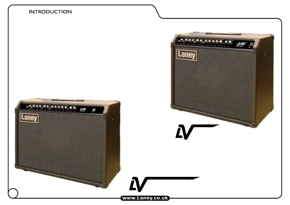 Laney LV300 User Manual | Page 10 / 20