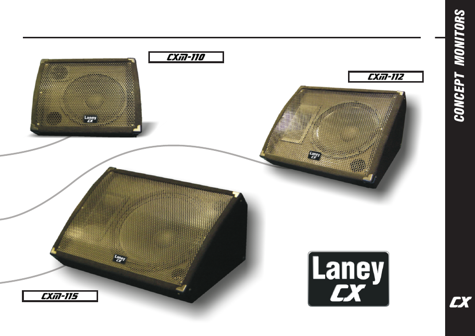 Laney | Laney CXM-110 User Manual | Page 11 / 12