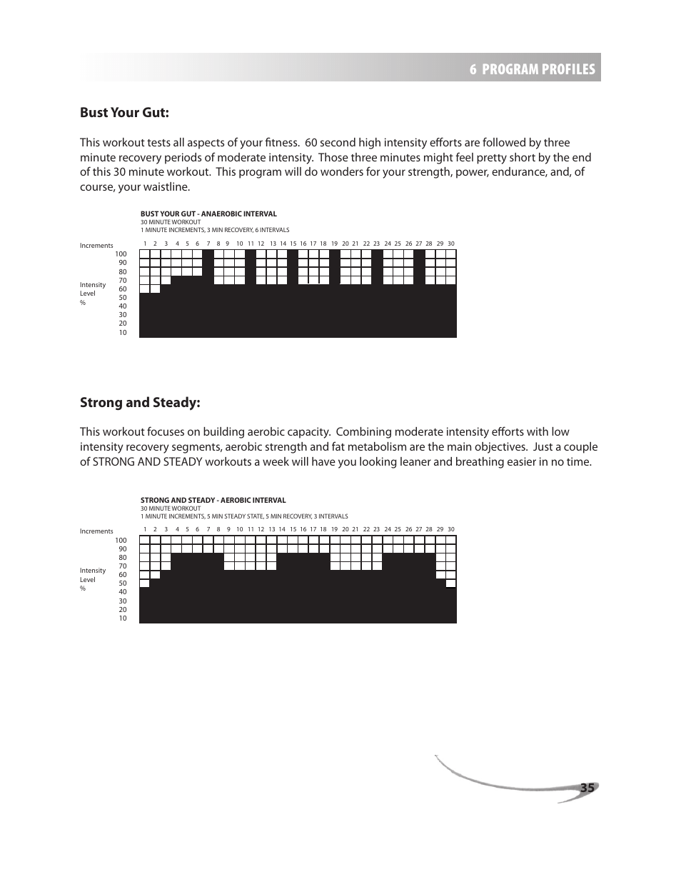 6 program profiles, Bust your gut, Strong and steady | LeMond g-force RT User Manual | Page 35 / 56