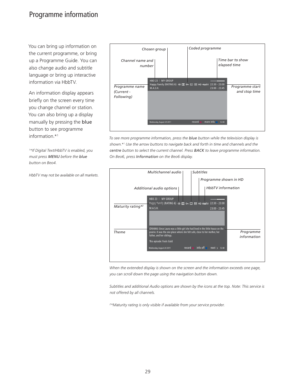 Programme information | Bang & Olufsen BeoVision 11 with Beo4 User Guide User Manual | Page 29 / 62