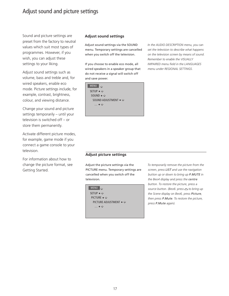 Adjust sound and picture settings, Adjust sound and picture settings, 17 | Bang & Olufsen BeoVision 11 with Beo4 User Guide (No tuner) User Manual | Page 17 / 44