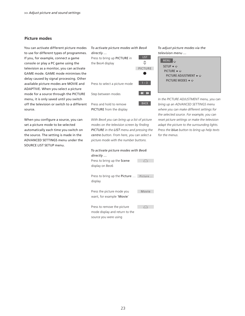 Bang & Olufsen BeoPlay V1 User Guide User Manual | Page 23 / 51