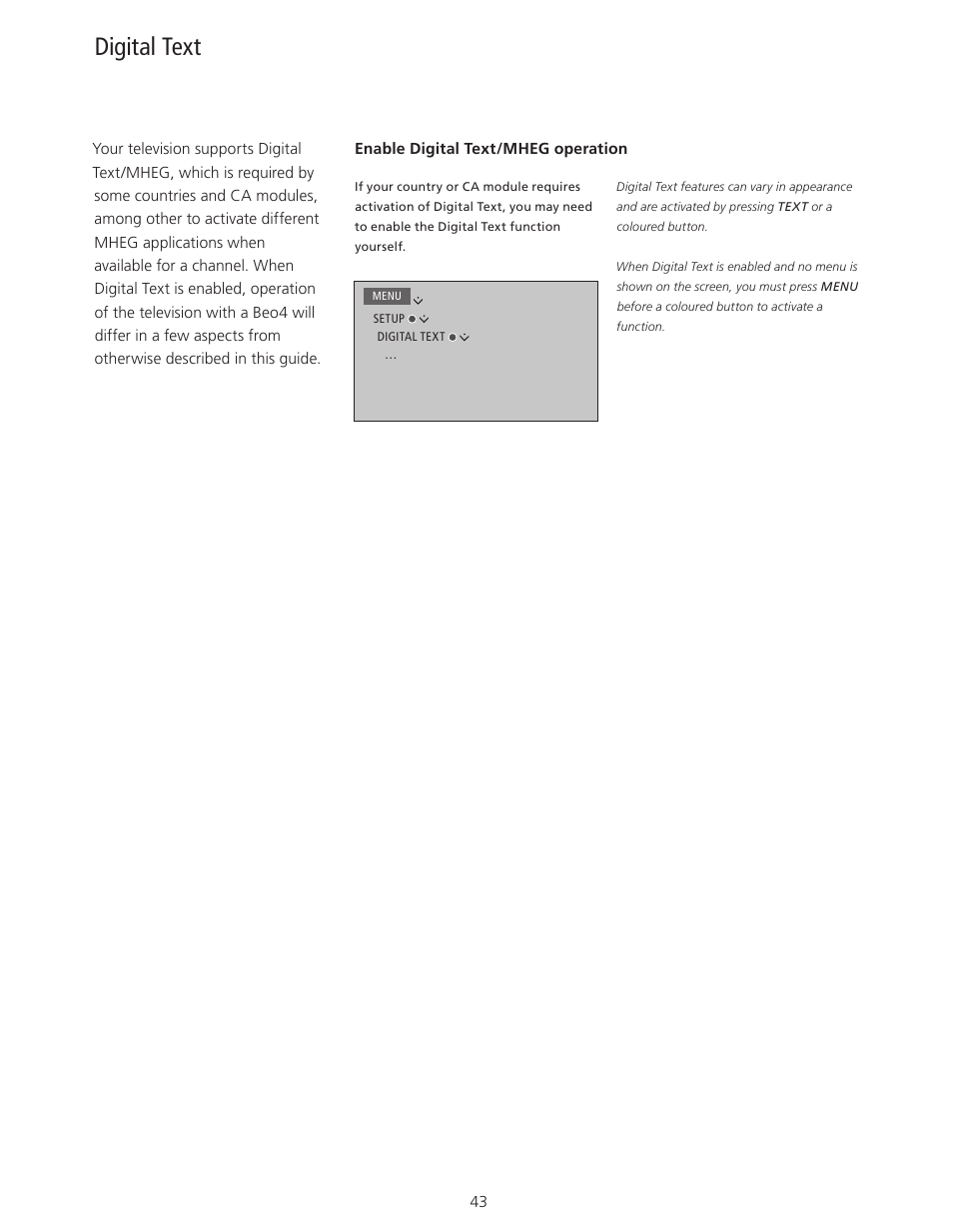 Digital text | Bang & Olufsen BeoPlay V1 User Guide User Manual | Page 43 / 51