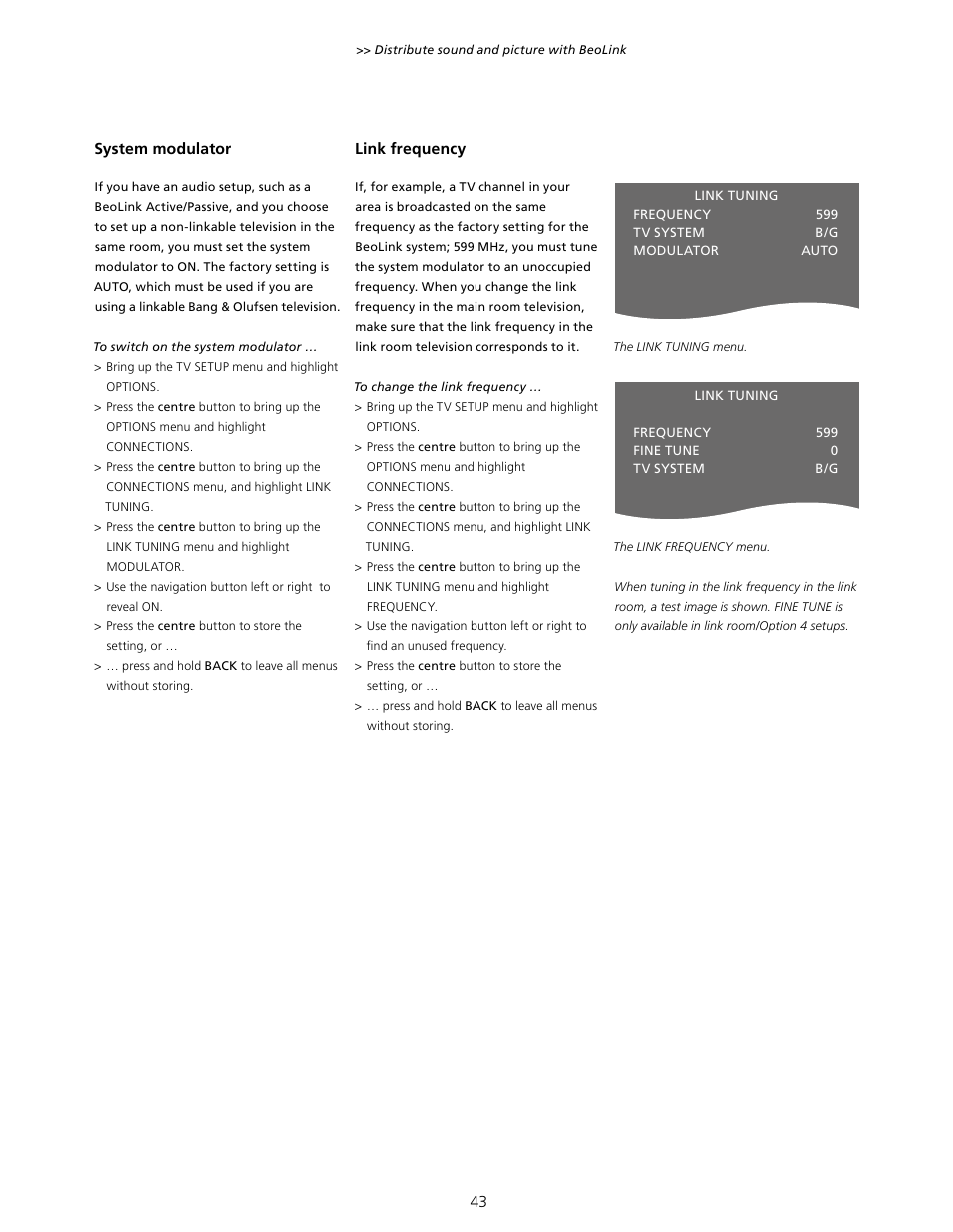 Bang & Olufsen BeoVision 10 User Guide User Manual | Page 43 / 46