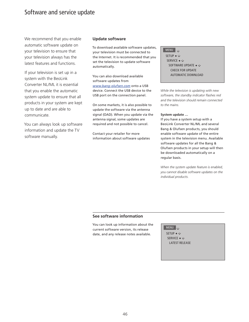 Software and service update | Bang & Olufsen BeoSystem 4 with Beo4 User Guide User Manual | Page 46 / 58