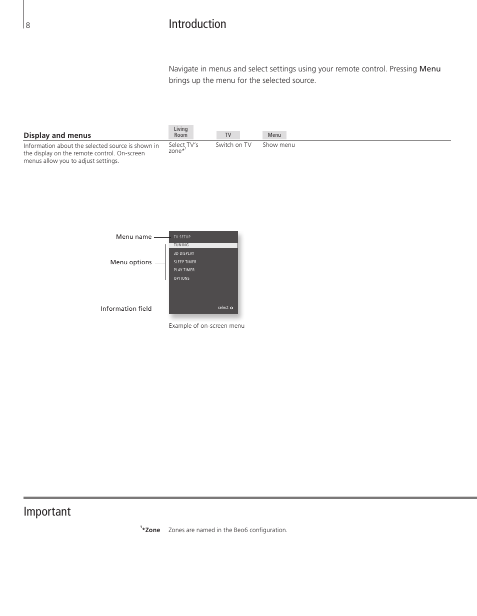 Introduction, Important | Bang & Olufsen BeoSystem 3 Getting Started User Manual | Page 8 / 32