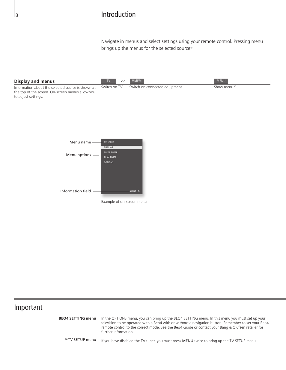 Introduction, Important | Bang & Olufsen BeoVision 8-40 Getting Started User Manual | Page 8 / 28
