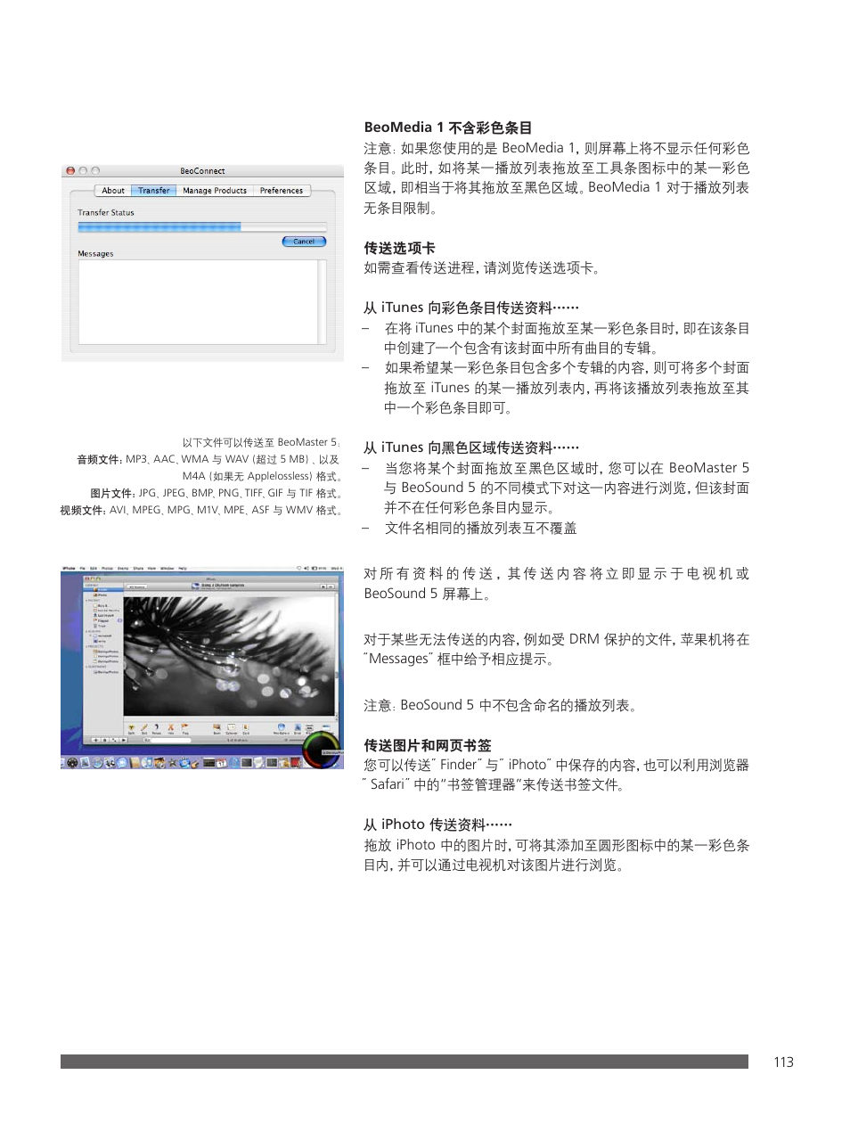 Bang & Olufsen BeoConnect (for Mac) User Manual | Page 113 / 217